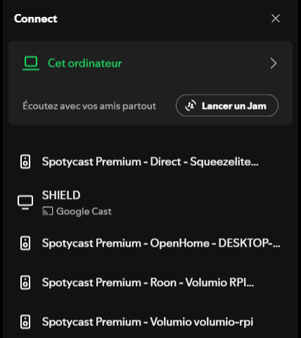 Spotycast Premium endpoints displayed in Spotify Connect